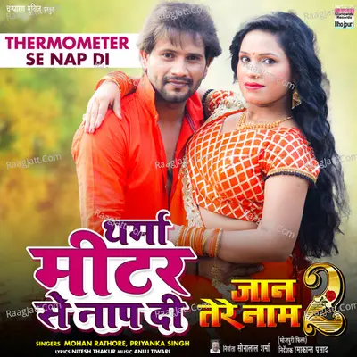 Thermometer Se Nap Di (From "Jaan Tere Naam 2") Cover