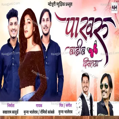 Pakhru Vadhiv Distaya Cover
