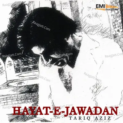 Hayat-E-Jawadan - Tarique Aziz