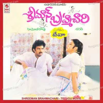 Shreeman Brahmachari - Chitra