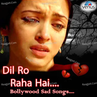 Dil Ro Raha Hai - Nadeem-Shravan