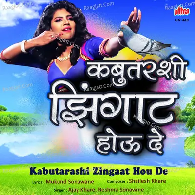 Kabutarashi Zingaat Hou De Cover