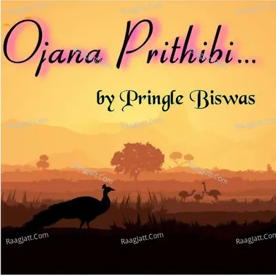Pringle Biswas Image
