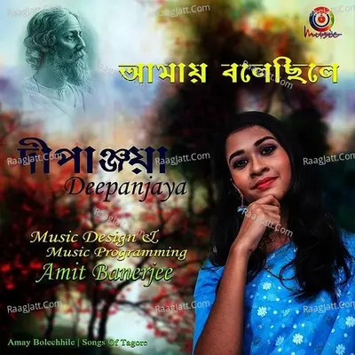 Amay Bolechhile Poster