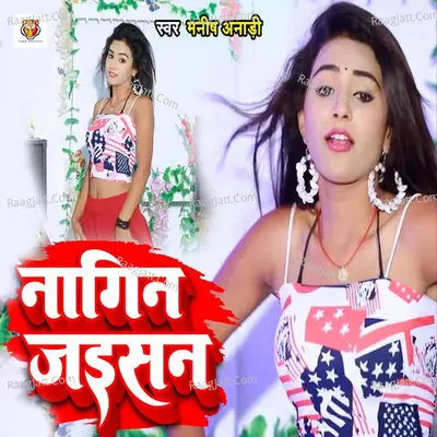 Manish Anadi Image