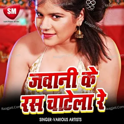 Jawani Ke Ras Chat Le Re Poster