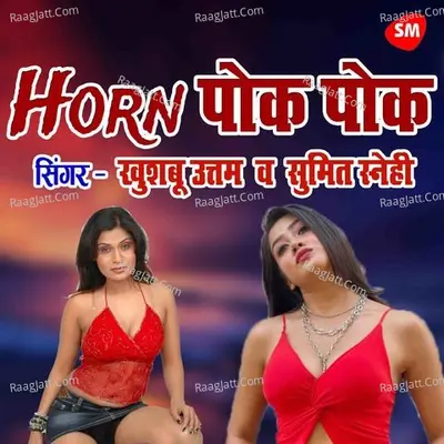 Sumit Snehi Image