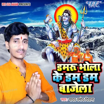Dumru Bhola Ke Dam Dam Bajela