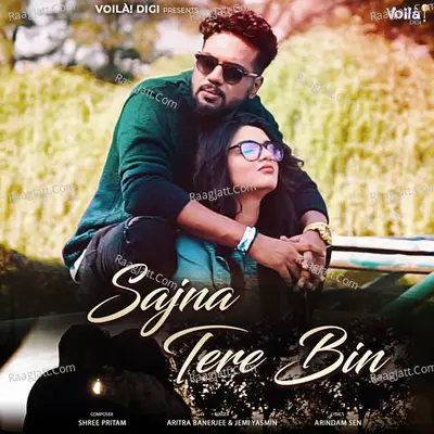 Sajna Tere Bin Cover