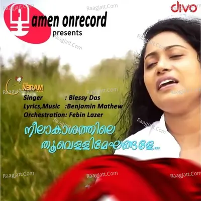 Neelakhashathile Thoovelli Mekhangale Cover
