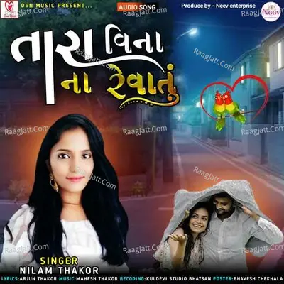 Tara Vina Na Revatu Cover
