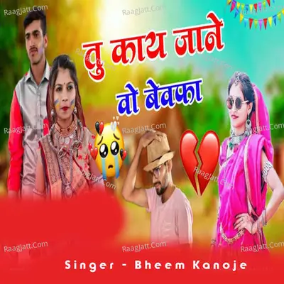 Tu Kaay Jane Wo Bewafa Cover