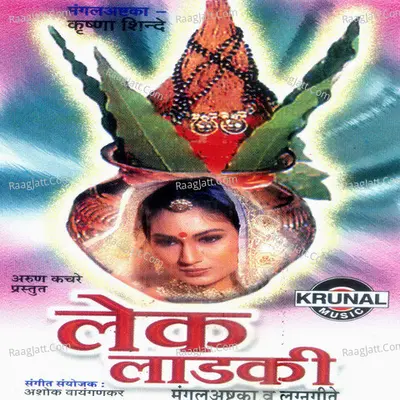 Krishna Shinde Image