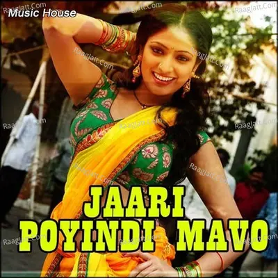 Jaari Poyindi Mavo - VZM.Srinu