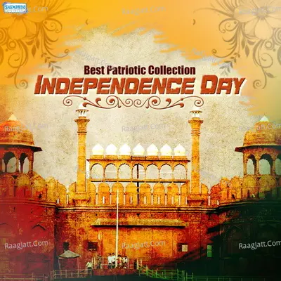 Best Patriotic Collection Independence Day Poster