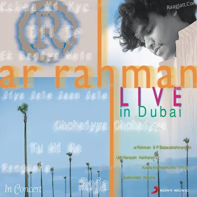 A R Rahman - Live In Dubai - Hindi Poster