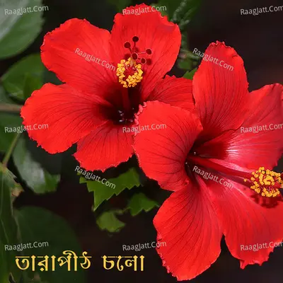 Tarapith Cholo Poster