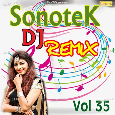 Sonotek Dj Remix Vol 35 Poster