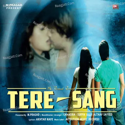 Tere Sang Cover