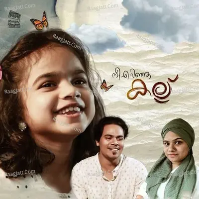 Nee Erinja Kallu