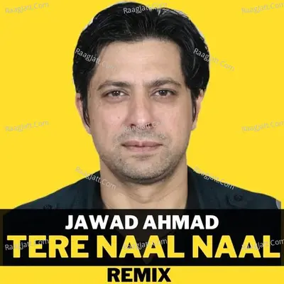 Tere Naal Naal (Remix) Cover