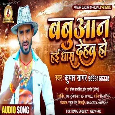 Babuan Hai Dhash Dehab Ho Cover