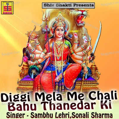 Diggi Mela Me Chali Bahu Thanedar Ki Poster