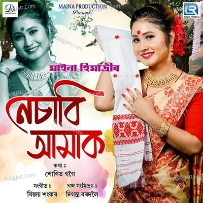 Nesabi Amak Cover
