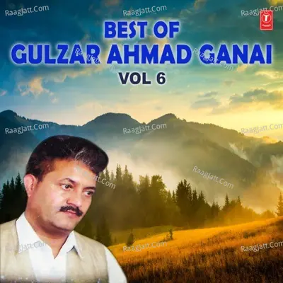 Best Of Gulzar Ahmad Ganai Vol-6 Poster