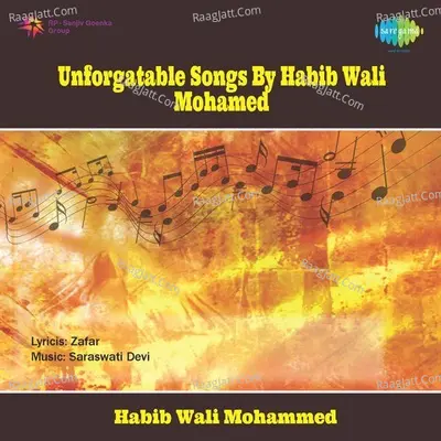 Unforgattable Songs By Habib Wali Mohamed - Habib Wali Mohammed