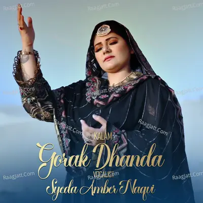 Syeda Amber Naqvi