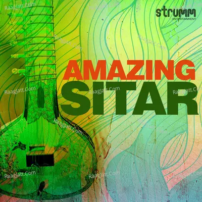 Amazing Sitar Poster