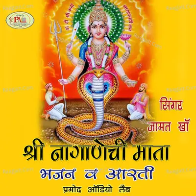 Shri Nagnechi Mata Poster