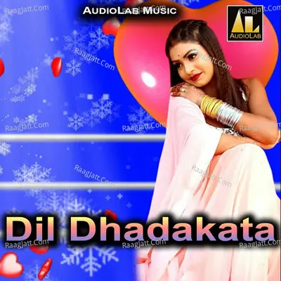Dil Dhadakata Poster