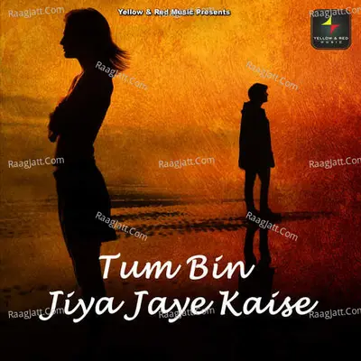 Tum Bin Jiya Jaye Kaise
