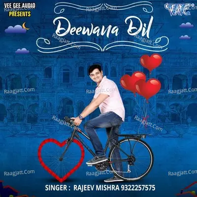 Deewana Dil 2