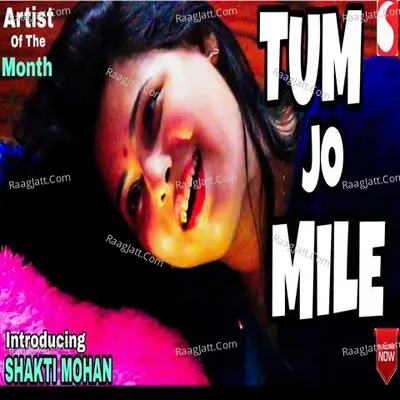 Tum Jo Mile Cover
