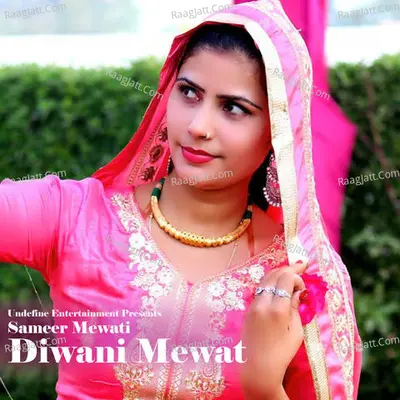 Diwani Mewat Poster