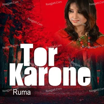 Tor Karone Poster