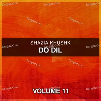 Do Dil, Vol. 11 Poster