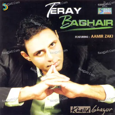 Teray Baghair Poster