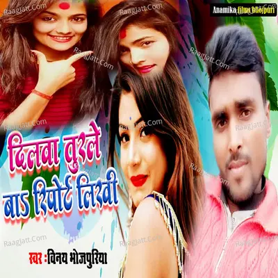 Dilva Turale Ba Report Likhi Cover