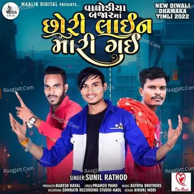 Vaghodiya Bajar Ma Chhori Lain Mari Gai - Sunil Rathod