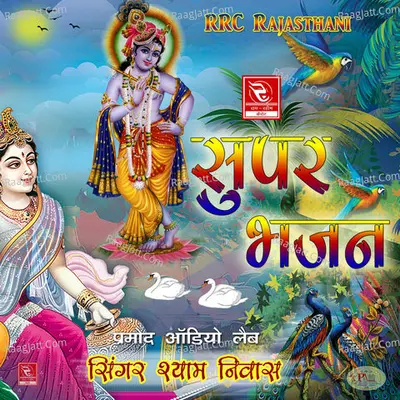 Super Bhajan - Shyam Niwas