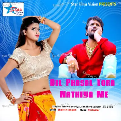 Dil Phasal Tora Nathiya Me Poster