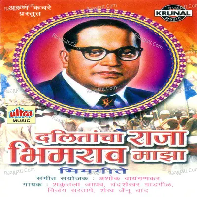 Dalitancha Raja Bhimrao Maza - Vijay Sartape