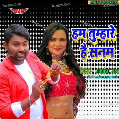 Ham Tumhare Hai Sanam Cover