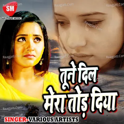 Tune Dil Mera Tod Diya Poster