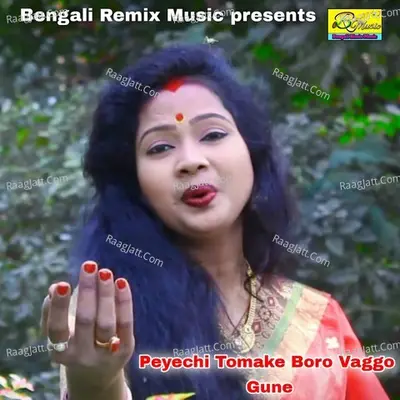 Peyechi Tomake Boro Vaggo Gune Cover