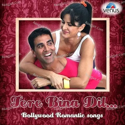 Tere Bina Dil-Bollywood Romantic Songs - Nadeem Shravan